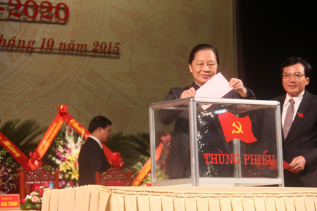 Đại hội đã tiến hành bỏ phiếu bầu Ban Chấp hành Đảng bộ tỉnh khóa XIII, nhiệm kỳ 2015-2020.