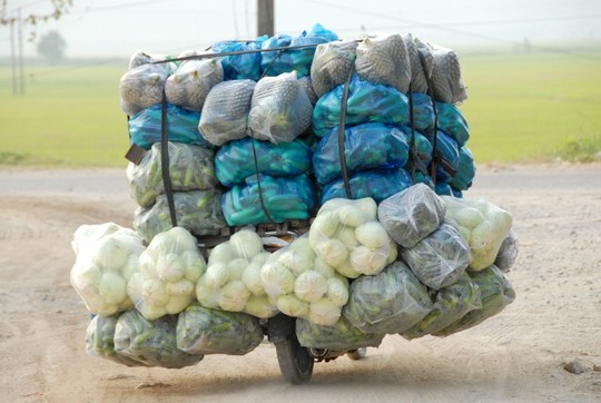Những chiếc xe gắn máy của thương lái Campuchia sang Việt Nam mua nông sản rồi “cổng” về như thế này mỗi chuyến từ 500 -700 kg các loại củ, quả.