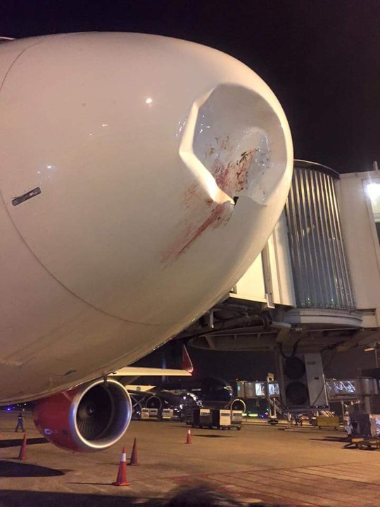 Máy bay bị thủng chóp radar. Ảnh chụp tại sân bay Nội Bài lúc 19 giờ ngày 30-9 - Ảnh: Facebook Bùi Chí Công