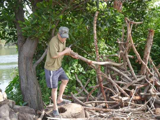 Ông Hoà, một người dân sinh sống trên đường Nguyễn Văn Lượng thường hay thu gom củi khô trong công viên để mang về sử dụng.