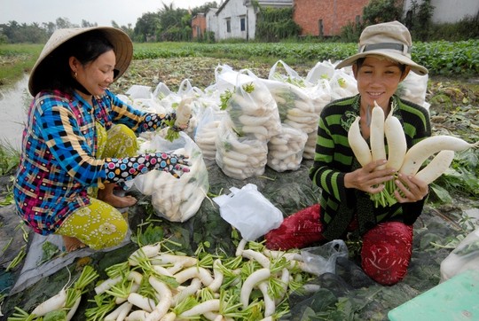 Nhờ mua bán nhộn nhịp nên người dân Việt trồng các loại rau, củ quả ở gần khu vực biên giới rất phấn khởi vì có đầu ra luôn ổn định. Vì vậy, mấy năm nay diện tích đất trồng màu ở khu vực này tăng lên đáng kể. Thu nhập của người dân cũng khấm khá hơn.