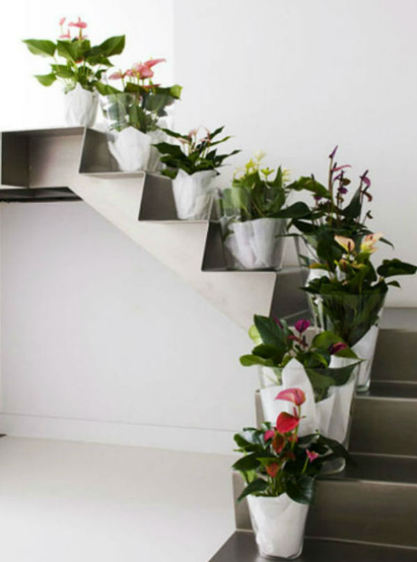 Cầu thang nhà bạn sẽ đẹp hơn nhiều với những chậu hoa xinh xắn.