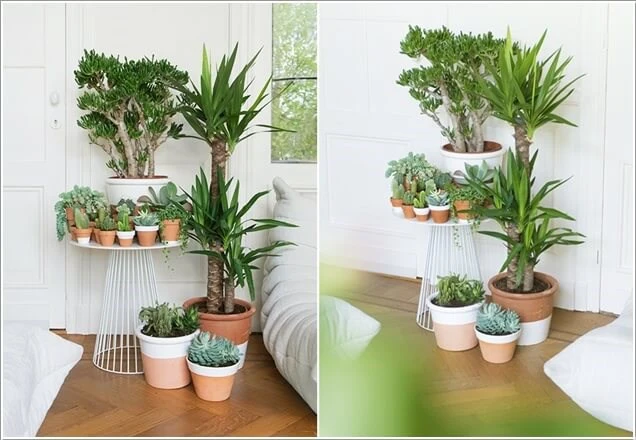 Bạn cũng có thể tận dụng một góc nhỏ trong phòng khách để đặt bộ sưu tập cây xanh nổi bật.