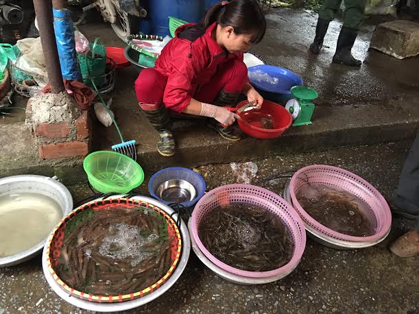 
Tất cả các loại tôm tại chợ ở Hà Nội đều tăng giá mạnh
