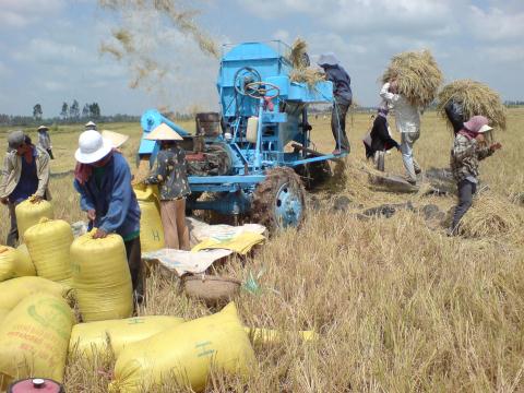 Sức cạnh tranh của nông sản Việt Nam rất thấp.