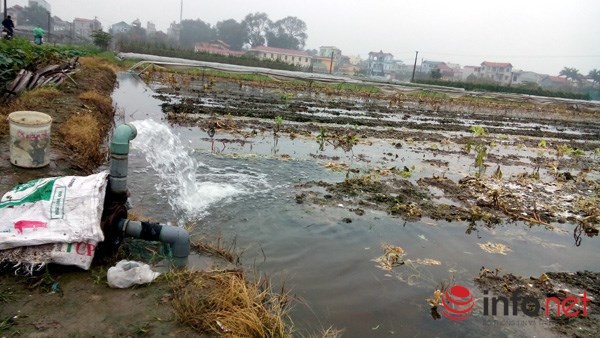 
Đa số người dân trồng rau an toàn ở xã Vân Nội, huyện Đông Anh, Hà Nội dùng nước giếng khoan để tưới rau.

