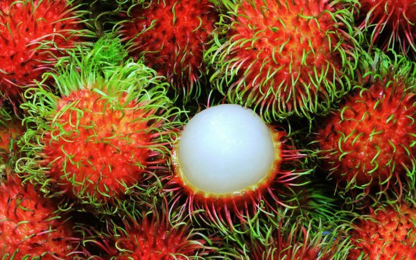 Thời gian tới sẽ có nhiều trái cây tươi của Việt Nam lên đường xuất ngoại