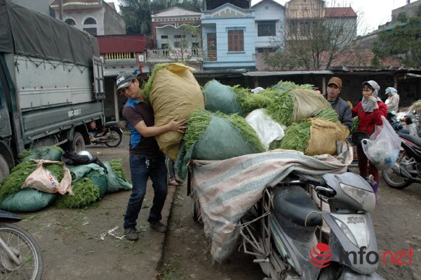 Xe rau này được vận chuyển từ nơi khác đến chợ rau Vân Trì bán.