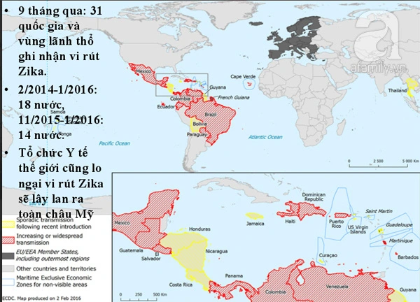 
Những nước đã có Zika
