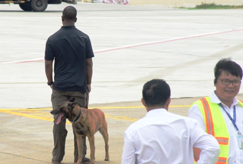 
Chó nghiệp vụ được triển khai đến sân bay Tây Sơn Nhất và nhiều địa điểm khác. Chúng thường dò tìm các mối đe dọa như bom, mìn...
