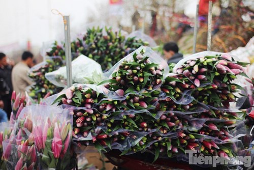 
Chợ hoa Tết Quảng Bá những ngày này tràn ngập hoa ly. Theo các chủ cửa hàng, hoa ly được bán tại đây có nguồn gốc chủ yếu từ Tây Tựu và Đà Lạt.
