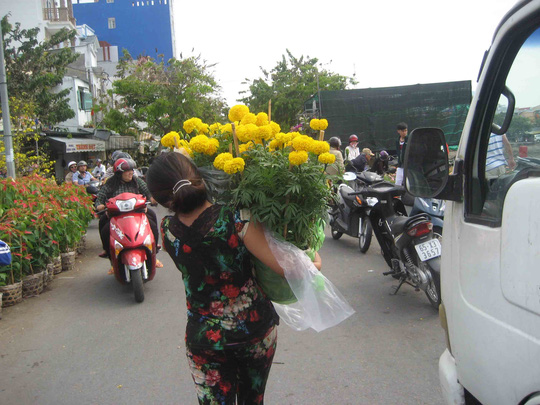
Nhiều người tỏ ra hớn hở vì mua được hoa kiểng đại hạ giá ngày cuối năm
