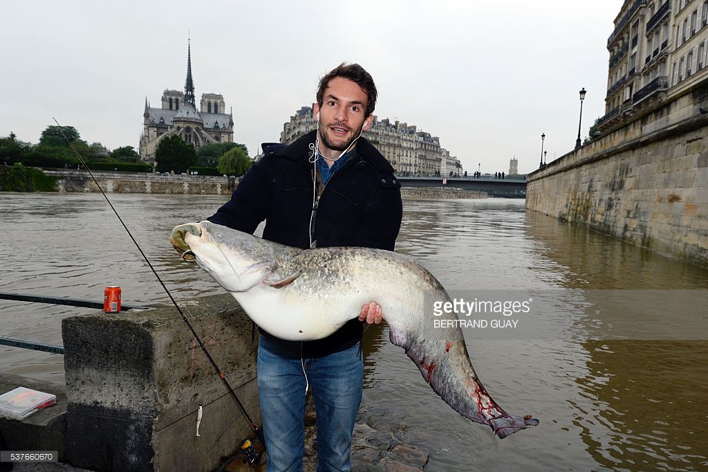 
Anh rất phấn khích vì câu được một con cá rất to. Ảnh: Bertrand Guay / AFP

 
