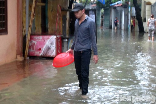 
Nhiều thanh niên bắt cá sau trận mưa lớn trên đường Bạch Thái Bưởi (Hà Đông).
