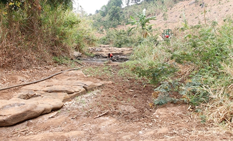 Sông suối cạn trơ đáy, người dân phải chắt chiu từng vũng nước còn sót lại để cứu cây trồng.