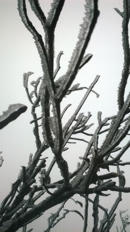 
Hình ảnh tuyết rơi ở Ba Vì được cộng đồng mạng chia sẻ sáng nay.
