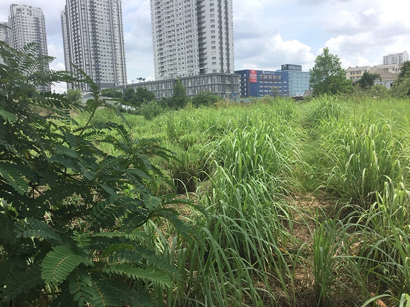 
Trong khi đất dự án của Phương Trang được người dân tận dụng trồng rau... Thì hàng loạt dự án cao cấp của các đại gia BĐS khác xung quanh đã được đưa vào sử dụng
