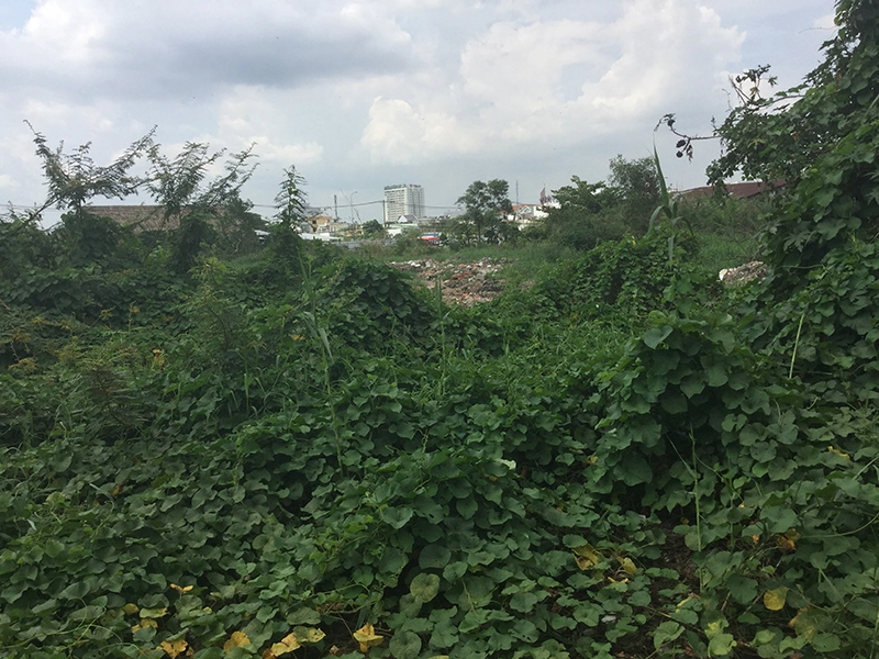 
Nhiều người thấy xót xa khi nhìn thấy khu đất vàng của Phương Trang bỏ hoang tại phường An Phú, quận 2
