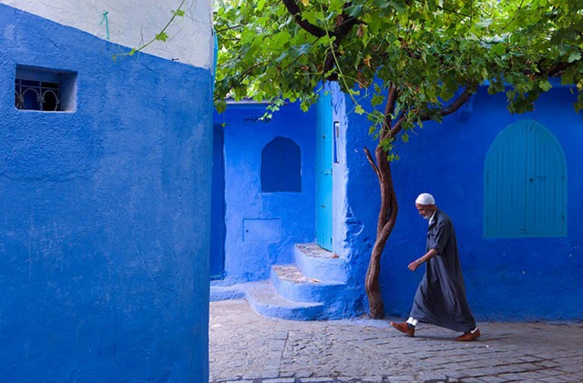 Màu xanh của các bức tường còn nhiều hơn cả màu xanh của cây cối.