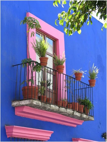 Ngoài việc trang trí bằng hoa, bạn có thể chọn cách sơn lại bức tường cửa sổ với màu sắc nổi bật, bắt mắt như thế này.