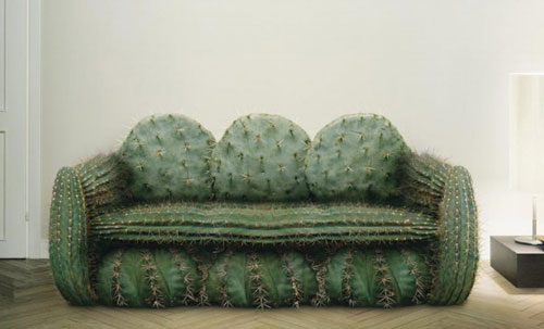 Liệu có vị khách nào dám ngồi lên sofa xương rồng này?