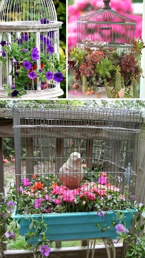 Trước đây nhà bạn có nuôi chim cảnh nhưng giờ thì đang để không, hãy dùng nó để làm chậu trồng hoa!.
