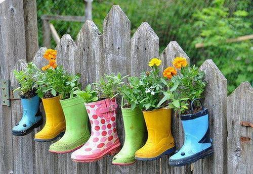Những đôi ủng nhựa, giày thể thao, giày da… đã mòn vẹt, hư hỏng cũng là một chỗ chứa… đất khá tốt để trồng hoa, cây cảnh.