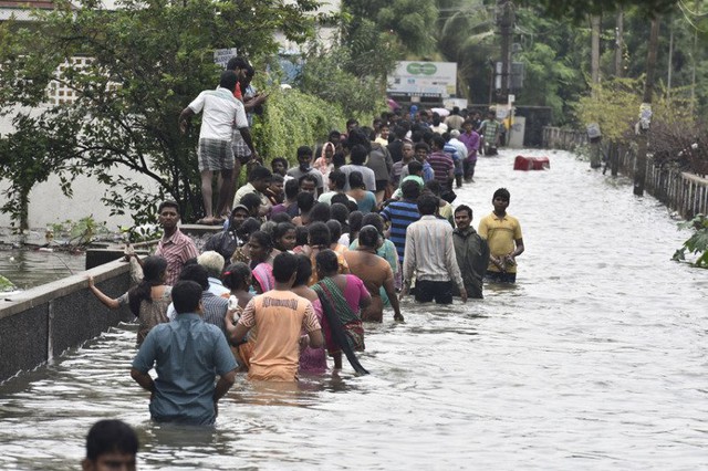 Mưa lũ ở bang Tamil Nadu đã khiến ít nhất 280 người thiệt mạng.
