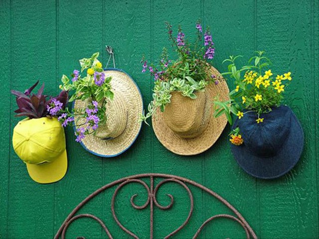 Thật tuyệt vời khi những chiếc mũ trong nhà bạn lại có thể nở hoa đầy màu sắc.