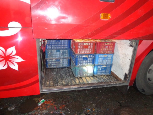 
Trứng gà đựng trong khay nhựa để dưới gầm xe - Ảnh: Trạm Kiểm dịch động vật Xuân Hiệp cung cấp
