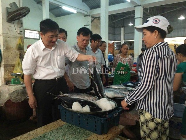 
Phó Chủ tịch UBND thành phố Đà Nẵng kiểm tra các điểm bán cá sạch của tiểu thương.
