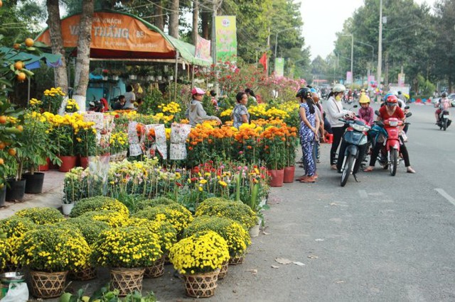 Cúc mâm xôi xuất hiện “khiêm tốn” tại chợ hoa - Ảnh: Mạnh Khang