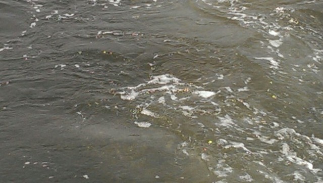 Vệt nước khác thường trên vùng biển Kỳ Xuân-Hà Tĩnh - Ảnh: Cơ quan chức năng cung cấp