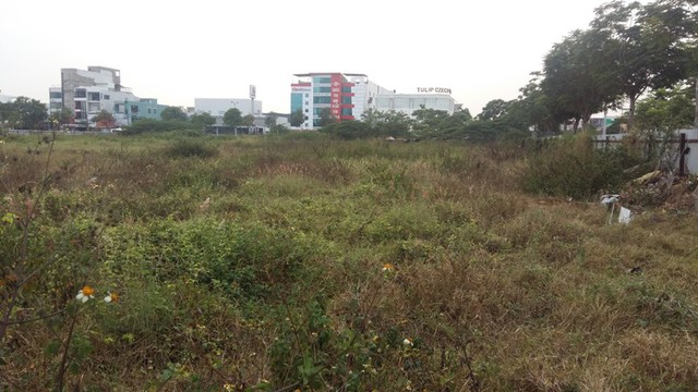 
Một khu đất nằm gần cầu Rồng, ngay điểm cuối bờ sông Hàn vẫn đầy cỏ dại.
