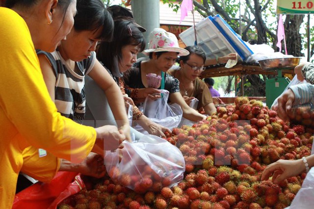 
Trái chôm chôm Việt Nam đã có mặt tại thị trường Hàn Quốc.(Ảnh: Phương Vy/TTXVN)
