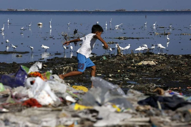Đàn cò trắng tìm kiếm thức ăn bên bờ biển ngập rác ở Manila, Philippines.