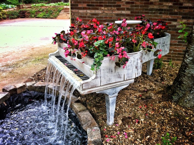 Thật là tuyệt vời khi sân vườn nhà bạn sở hữu một cây đàn hoa rực rỡ, kèm với đó là tiếng nước chảy róc rách bên tai.