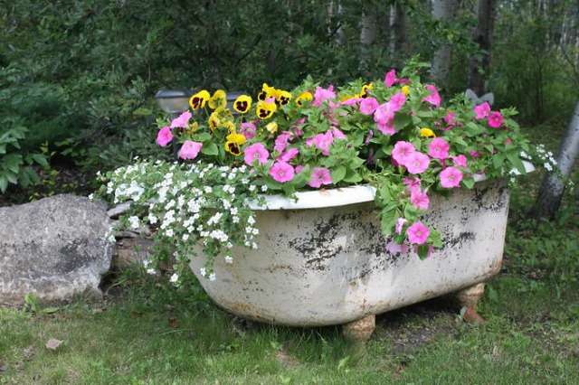 Điểm nhấn thú vị cho khu vườn nhà bạn là bồn tắm cũ trồng đầy những loại hoa rực rỡ.