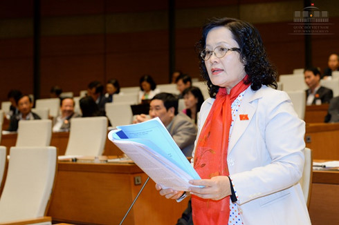 Đại biểu Trần Thị Quốc Khánh phát biểu trên nghị trường