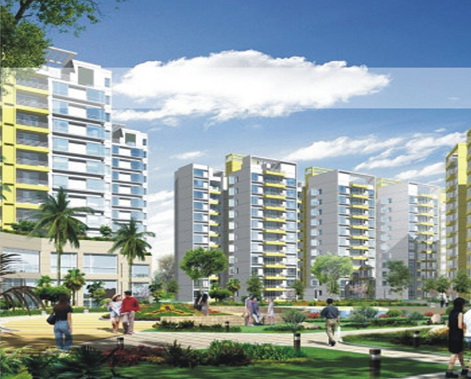 Khu đô thị mới Dương Nội (5)