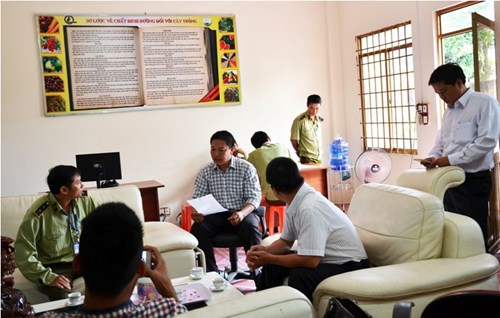 Công bố quyết định kiểm tra việc chấp hành pháp luật của văn phòng đại diện Thuận Phong.