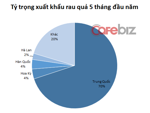 Tỷ trọng xuất khẩu rau quả 5 tháng đầu năm chia theo quốc gia. Nguồn: Hiệp hội Rau quả Việt Nam.