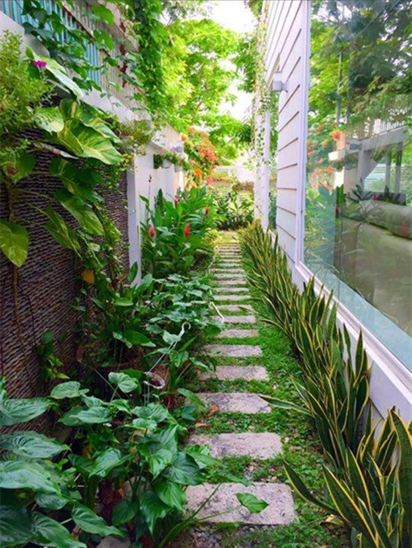 Lối đi ngập sắc xanh trong khu vườn nhà Quyền Linh.