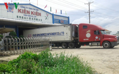 Phần lớn các doanh nghiệp ở Bình Thuận đều xuất khẩu thanh long qua thị trường Trung Quốc