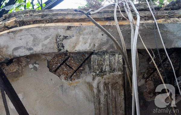 Rất nhiều mảng tường trên trần nhà bị nứt vỡ, lòi cả sắt ra ngoài và bị rễ cây ăn sâu vào bên trong.