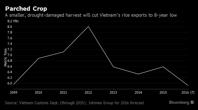 
Sản lượng lúa gạo của Việt Nam năm 2016 có thể giảm xuống mức thấp nhất trong 8 năm
