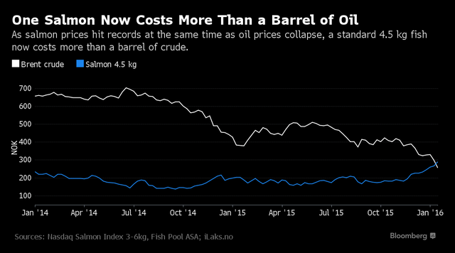 
Giá dầu và giá cá hồi tính theo đồng krone
