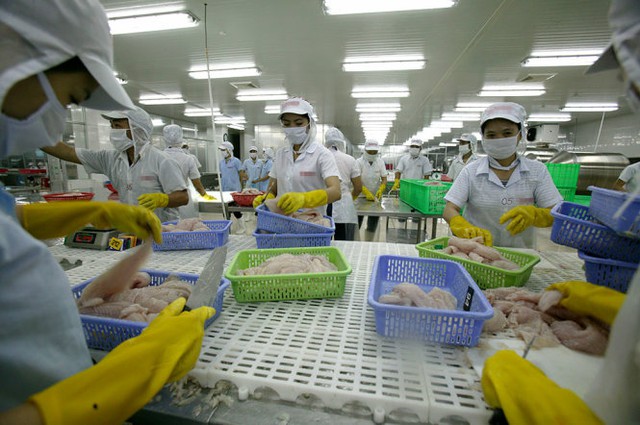 
Dù thương mại toàn cầu có xu hướng giảm nhưng xuất khẩu thủy sản của Việt Nam vẫn tăng - Ảnh: Châu Anh
