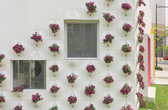 Ngôi nhà của bạn sinh động hơn nhiều với vẻ ngoài nhiều hoa lá