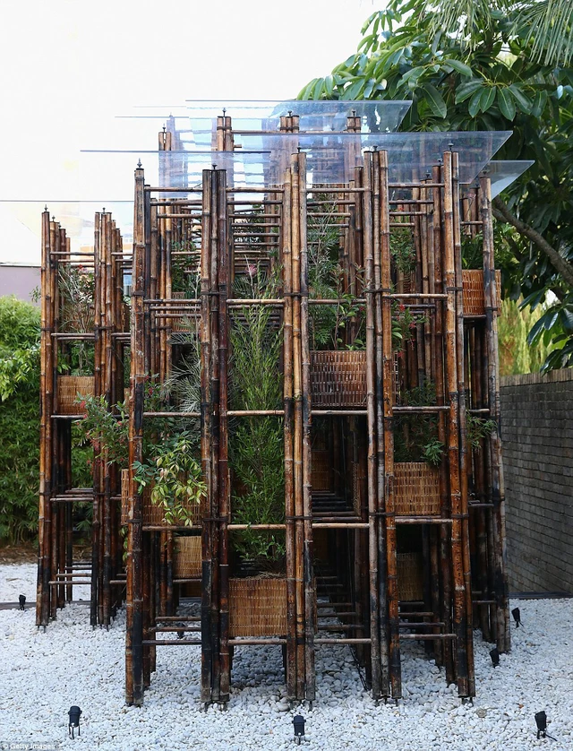 The architect soaked and smoked the wood to strengthen the ladders of bamboo which stretch up to four metres high